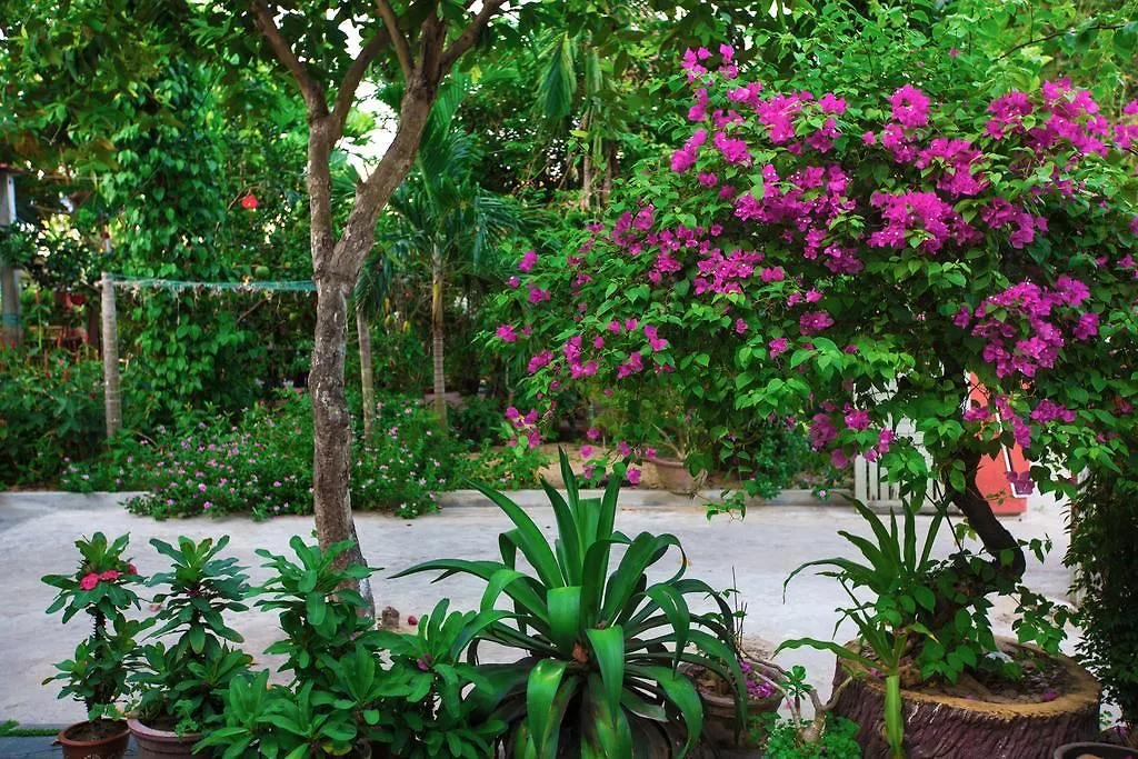 Thinh Phuc Homestay 호이안 0*,